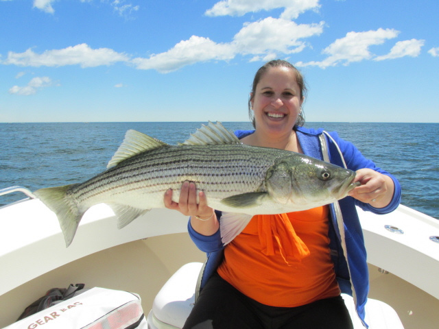 Nikki's striper 6-9-13